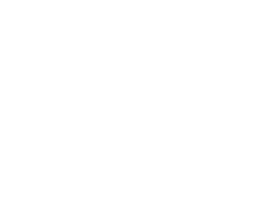 Sousa veiga